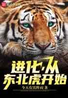 进化,从东北虎开始