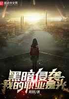 黑暗侵袭,我的职业是光