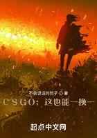 CSGO:这也能一换一?