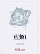 虚数i