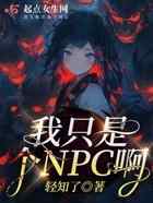 我只是个NPC啊!