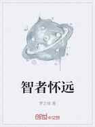 智者怀远