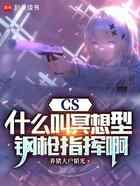 CS:什么叫冥想型钢枪指挥啊